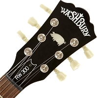 Roger Waters | Washburn RW300 signature model